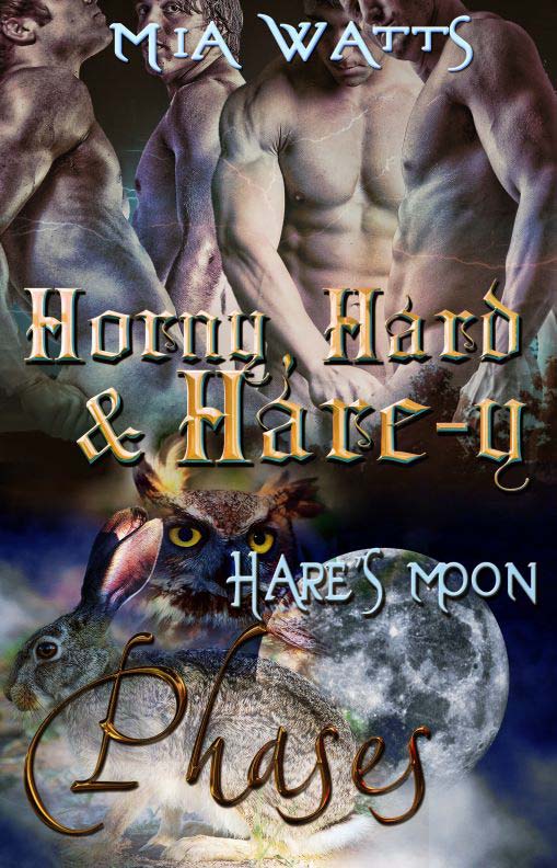 Horny, Hard and Hare-y (Book Cover)