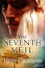 The Seventh Veil (Book Cover)